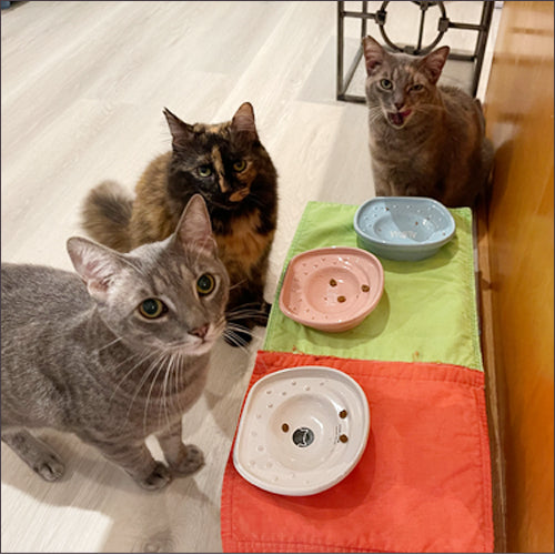 the CAT TONGUE®ハワイプレミアム Royal Hawaiian Pink ロイヤルハワイアンピンク