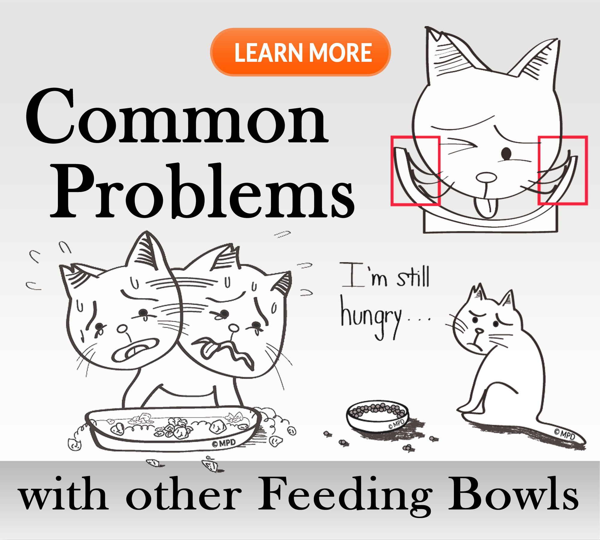 Common Problems with other feeding bowls