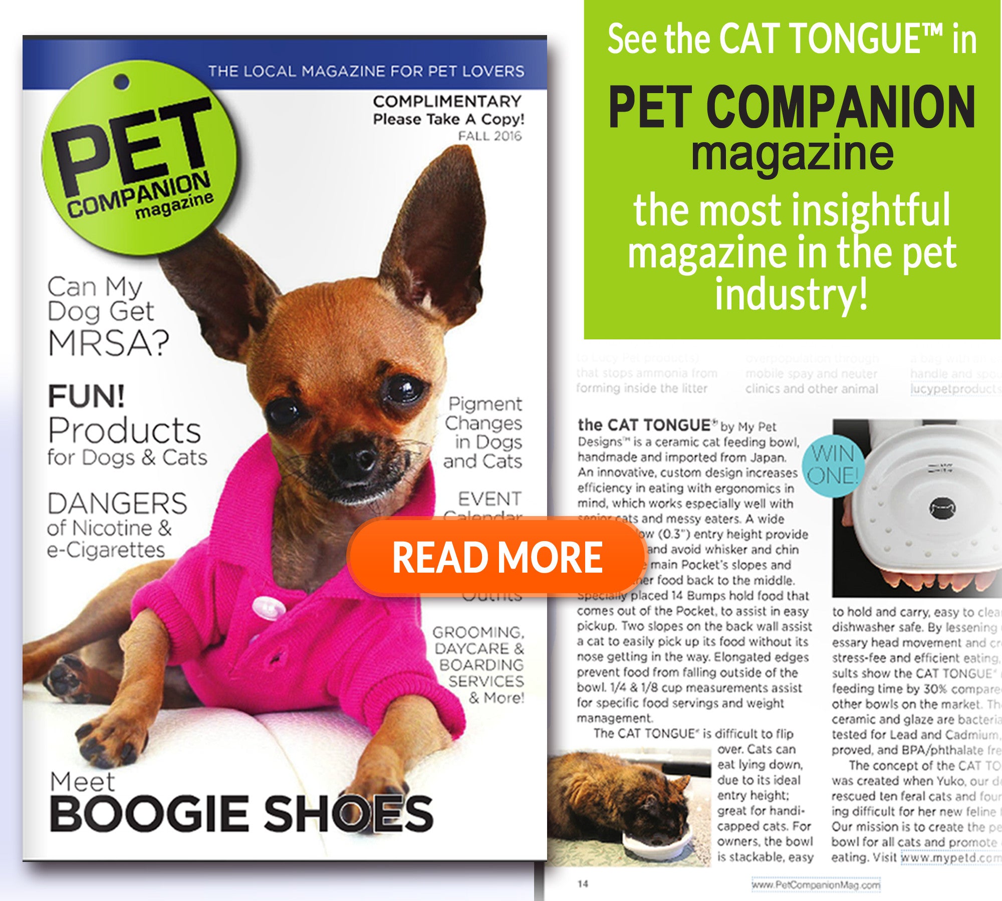 featured in PET COMPANION MAGAZINE