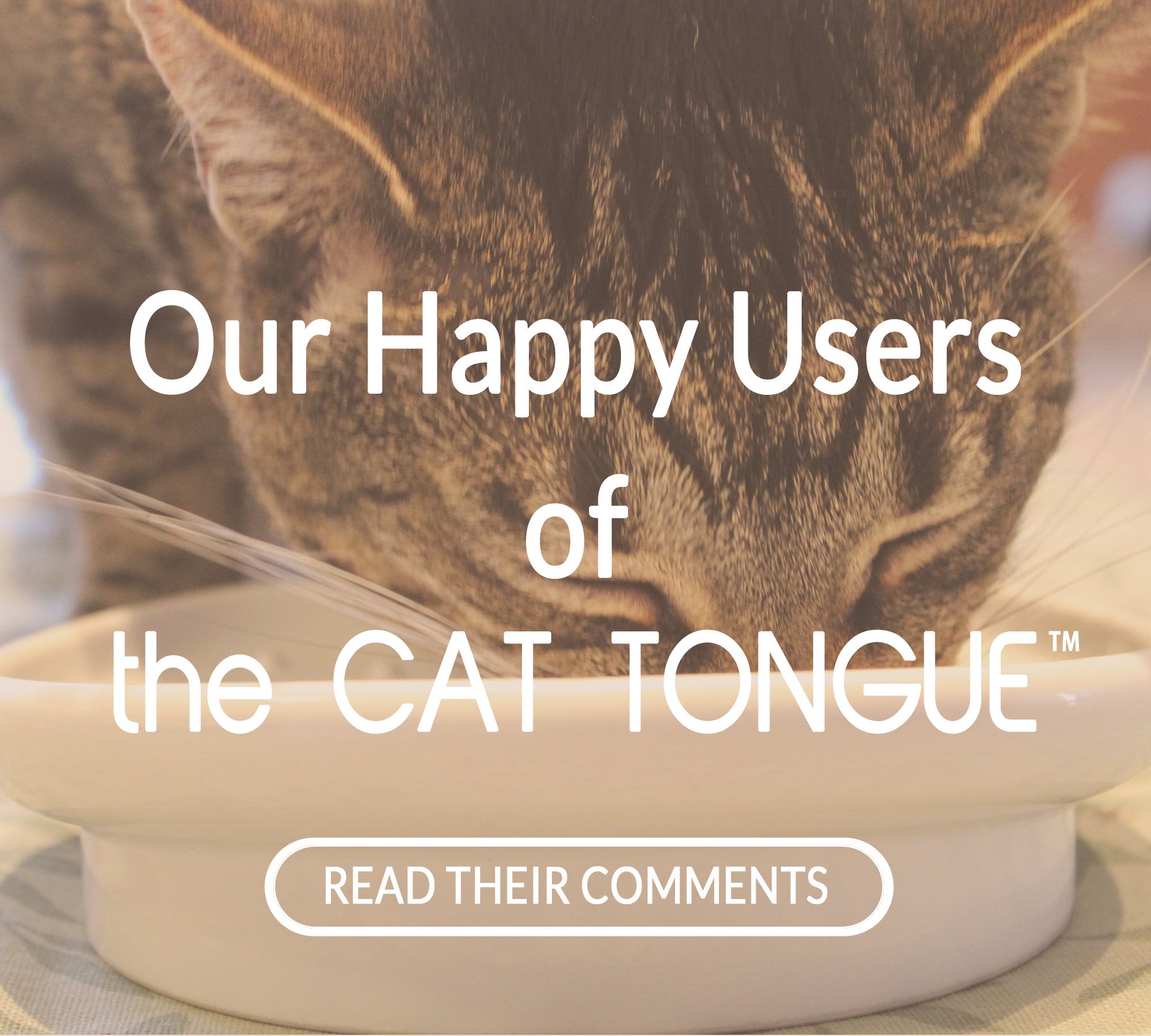 Our Happy User comements